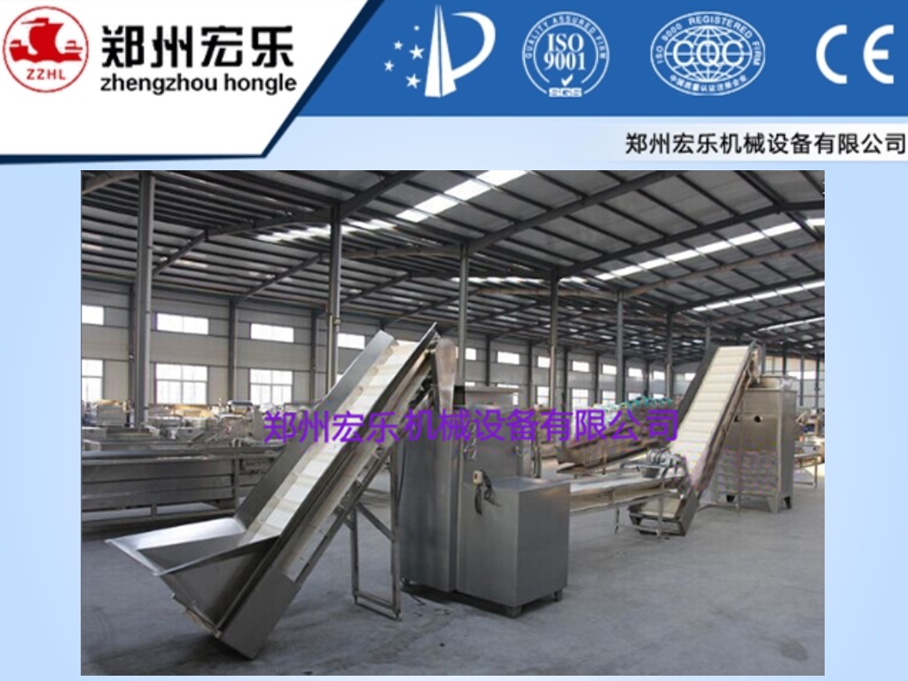 Onion paste production line