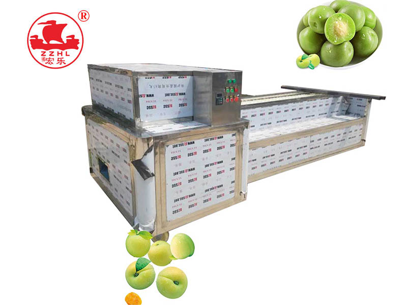 Green Plum Coring And Cutting Petals Machine