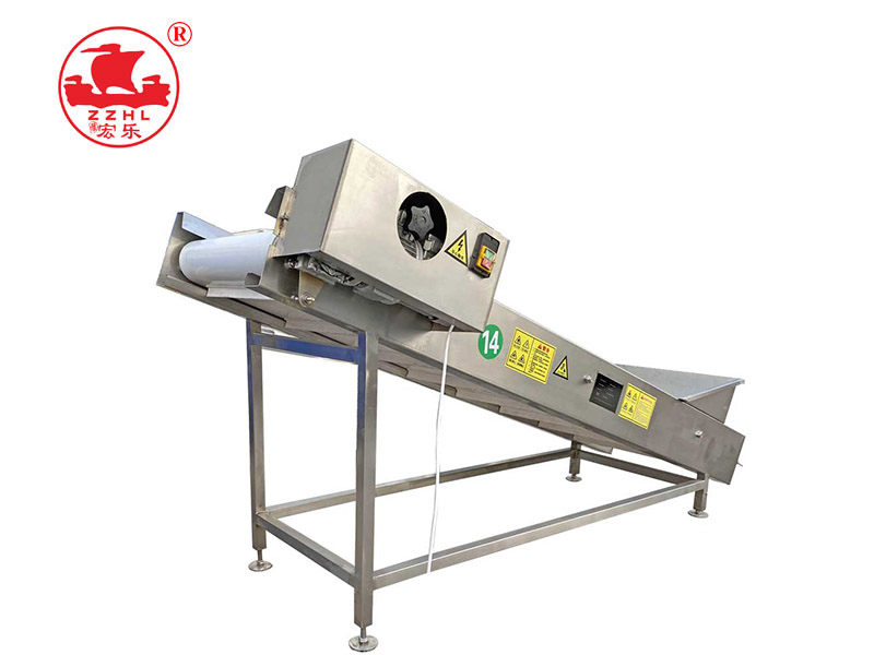 Belt Conveyor