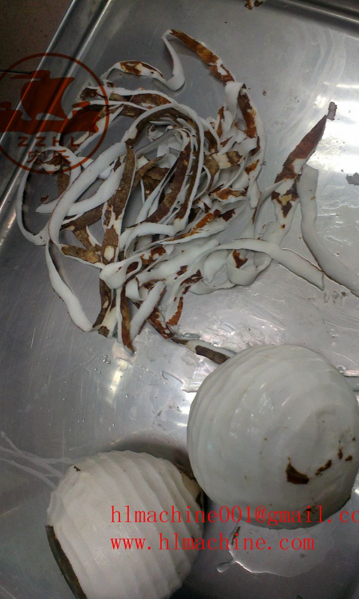 coconut3