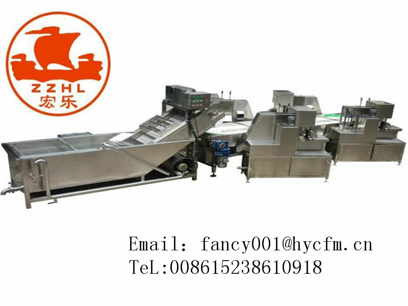 dried Kiwi fruit processing line