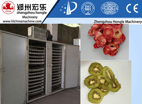 food dryer machine
