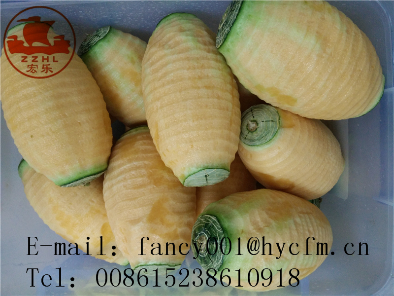 Best price hami melon peeling machine3