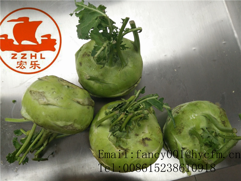 lKohlrabi peeling machine6