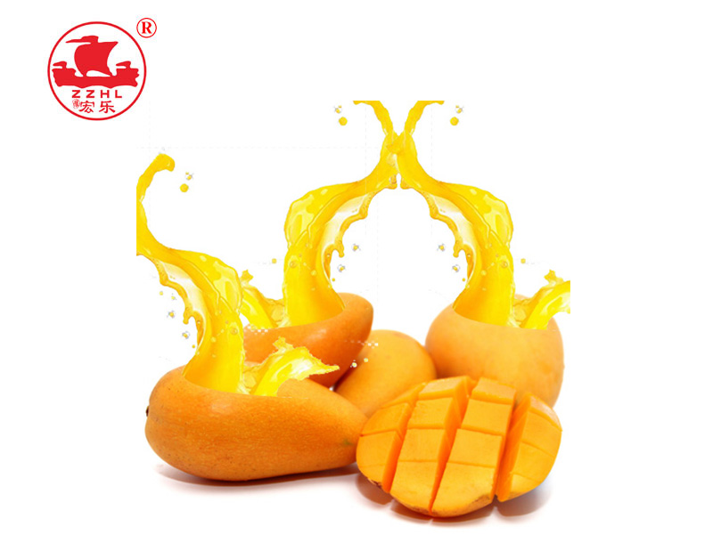 Passion Mango Fruit Pulp Extractor Machine Processing line 