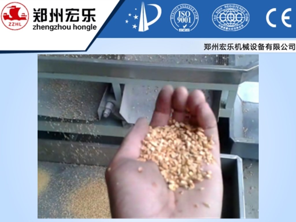 Peanut Crushing Machine