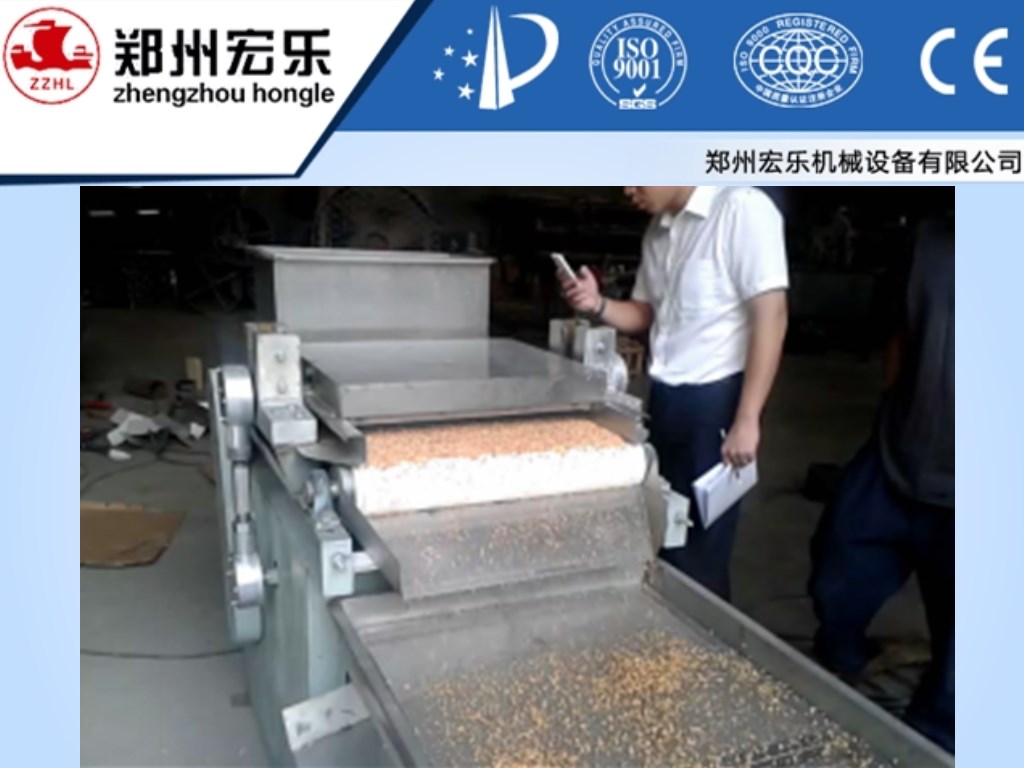 Peanut Crushing Machine