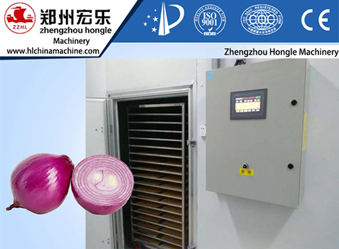 onion dryer machine