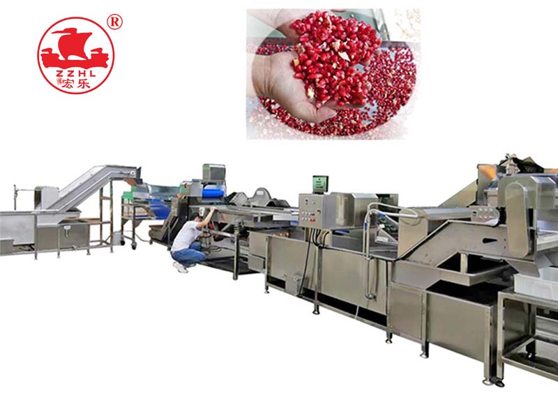 Pomegranate seeds  processing machine