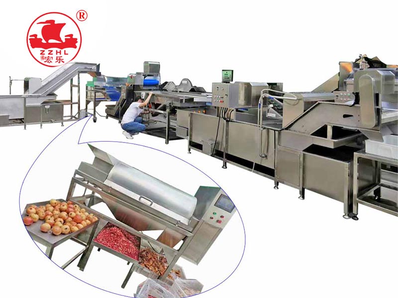 Pomegranate seeds  processing machine