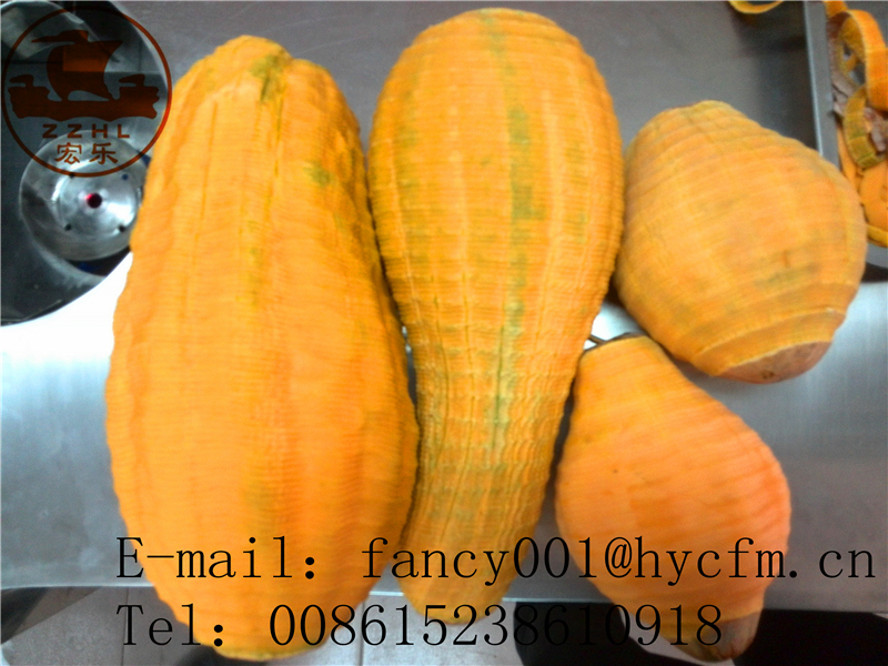 Pumpkin peeler1