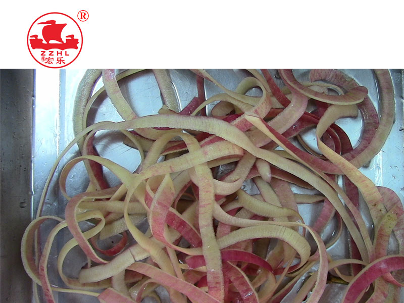 apple coring machine