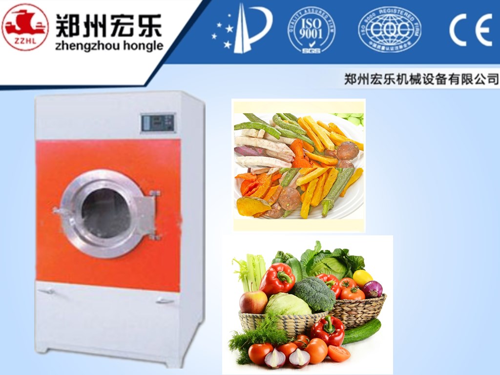 fruit dryer