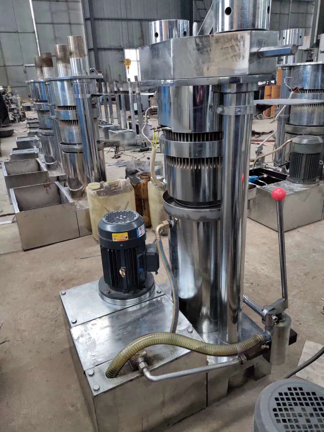 Olive oil press machine