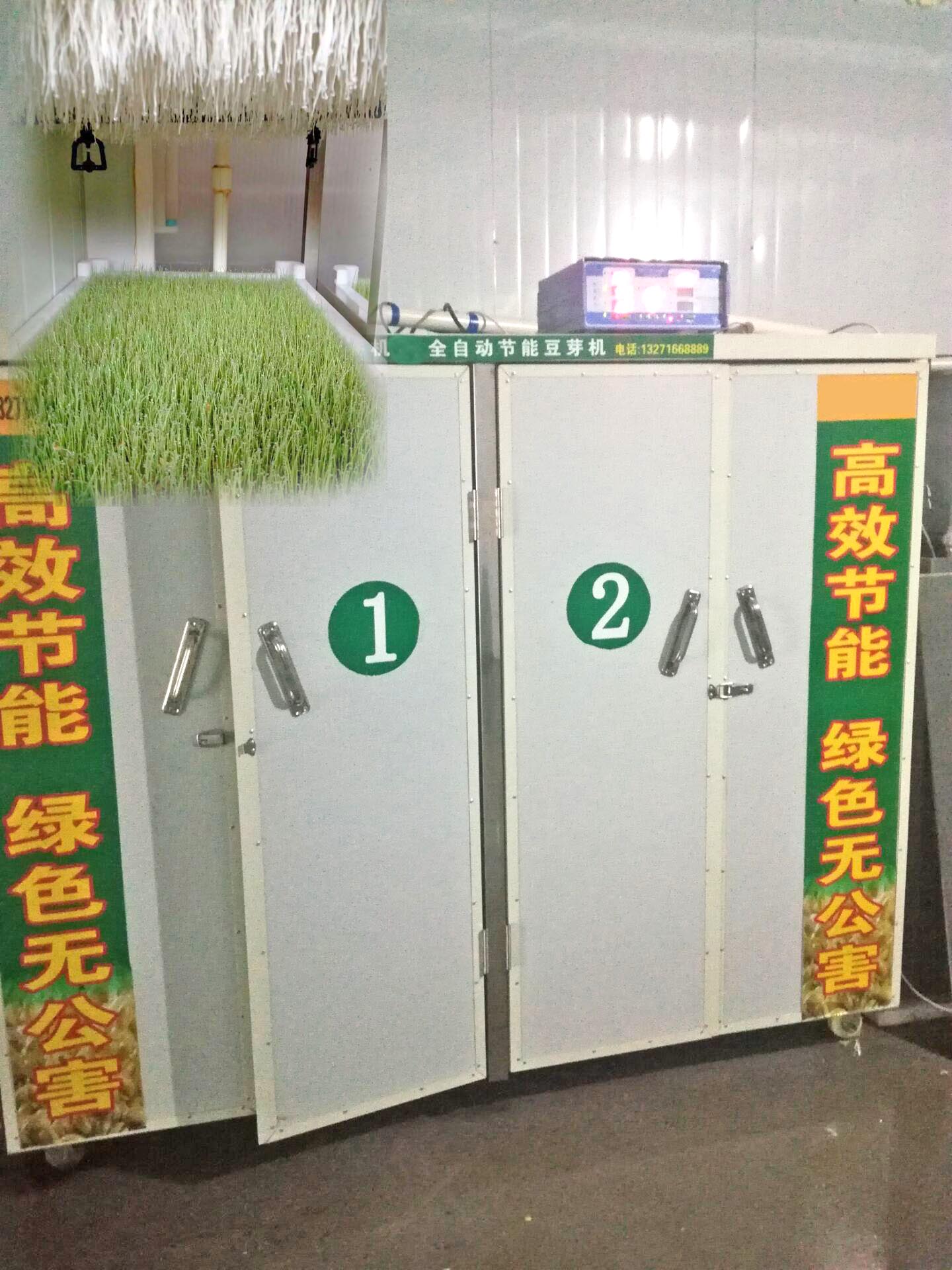 bean sprout making machine