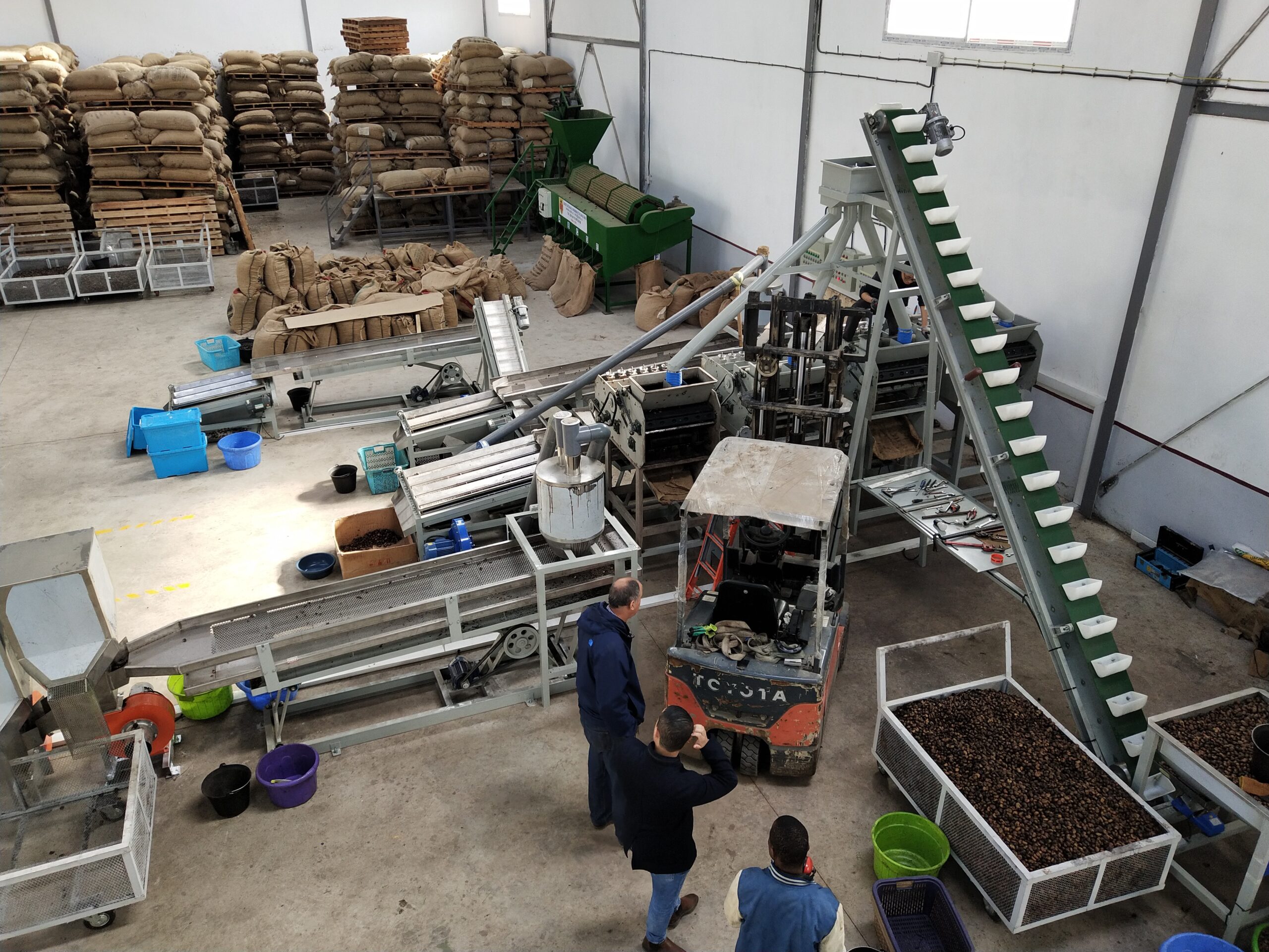 best cashew nut processing machine price