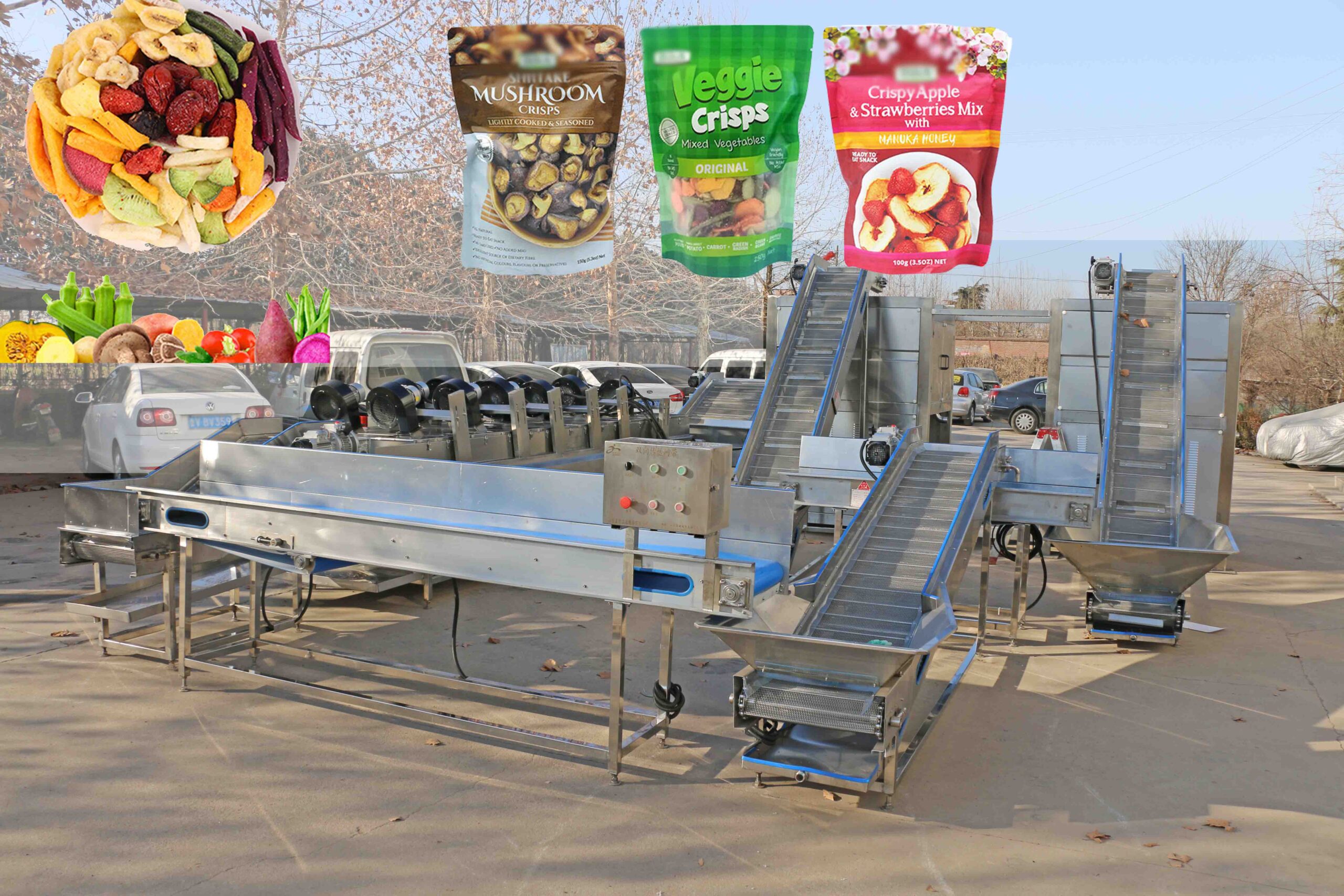 crisps production line price