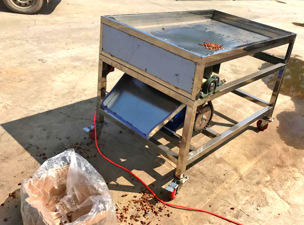 Dry Fruit Cutter Dried Fruit Chopper Dried Fruit Dicing Machine