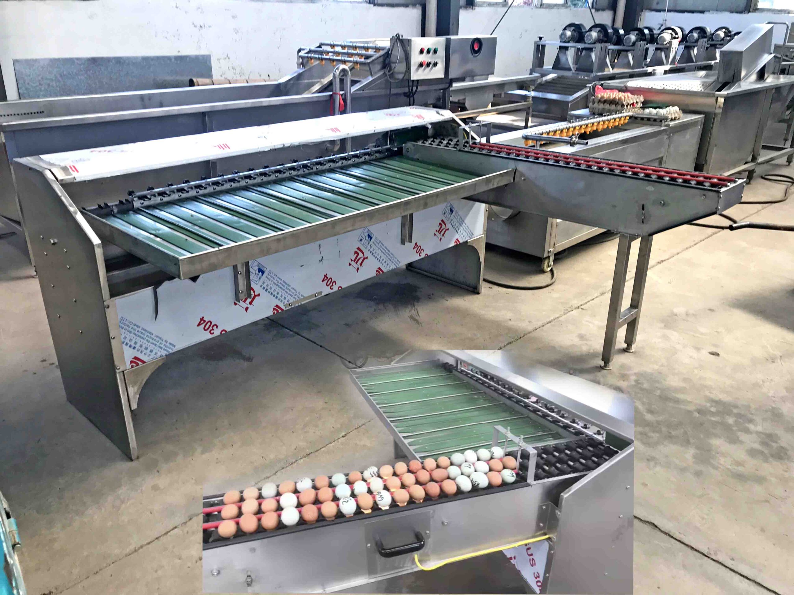 egg sorting machine