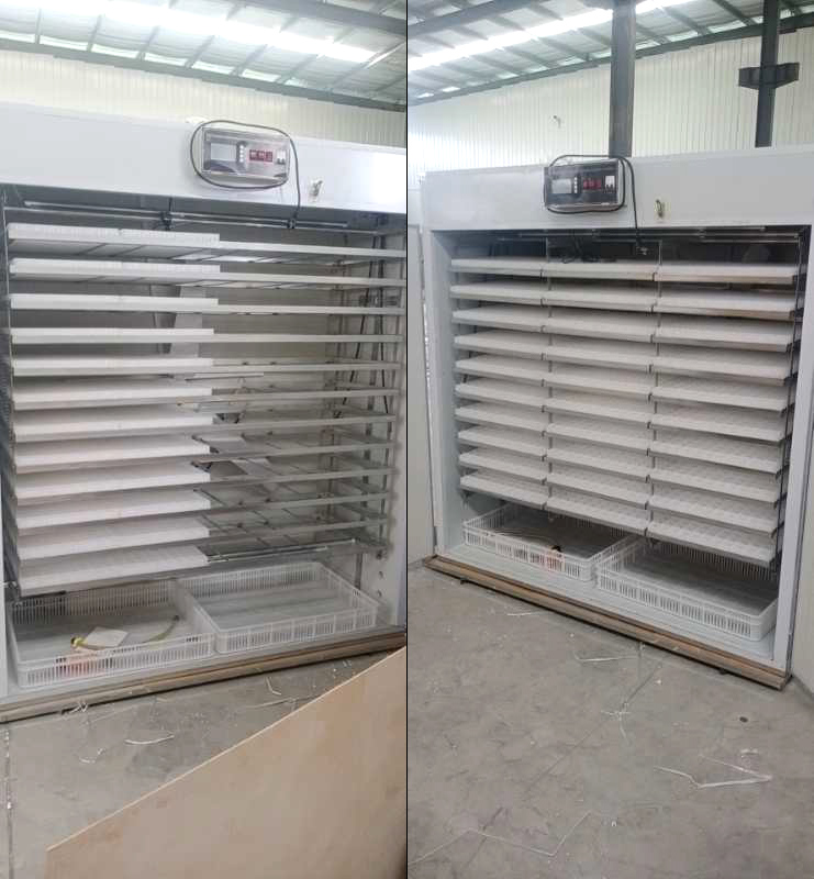 industrial egg incubator hatcher