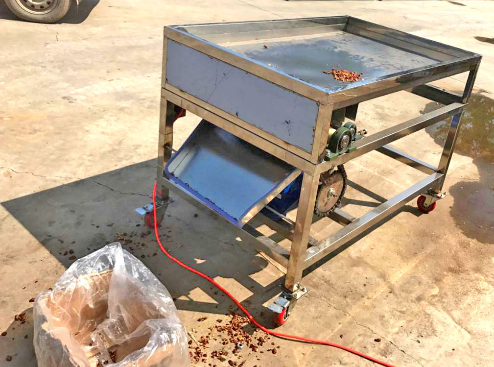 dried fruit dicing machine