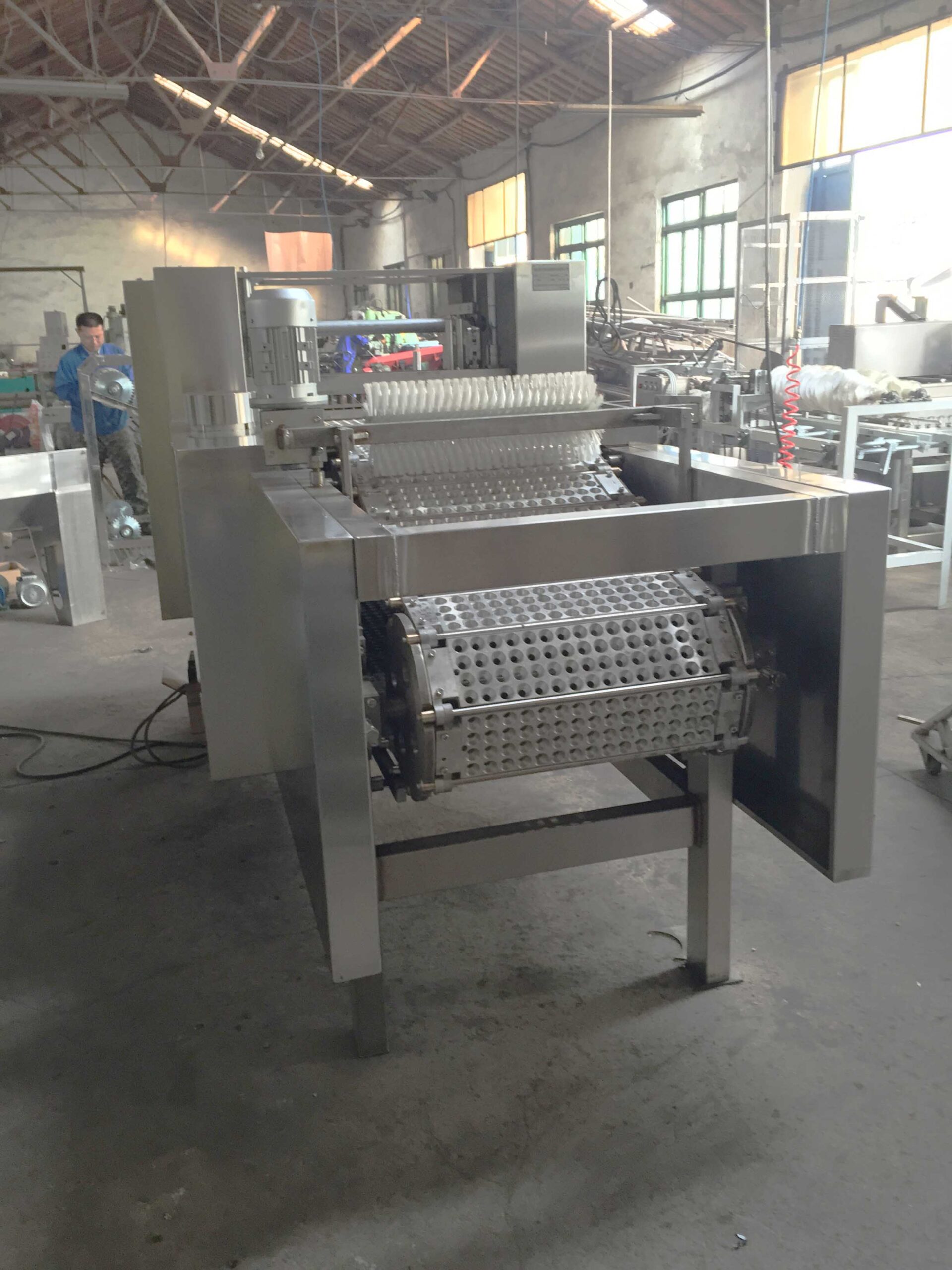 fully automatic plum pitting machine